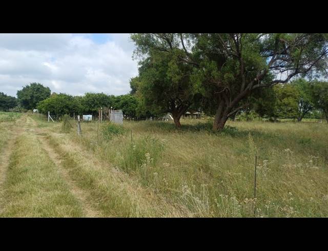 131.90HA FARM FOR SALE IN WATERVAL S H